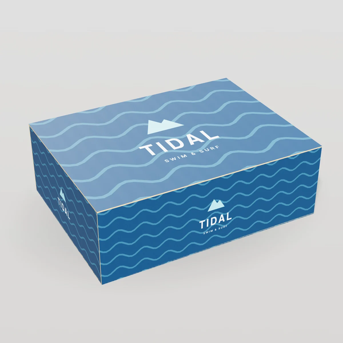Subscription Boxes concept: Tidal design, swim & surf